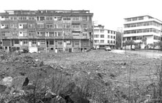 五任镇长建不起一个菜市场