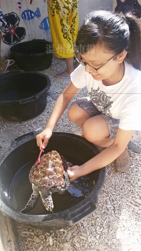 乐清妹子"穷游世界" 打工换食宿_温都网 - 温州都市报