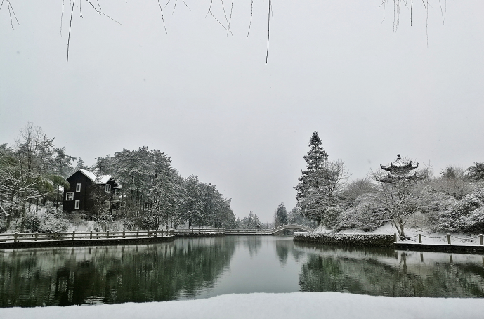 温州多地飘雪 这些雪景照简直美翻了