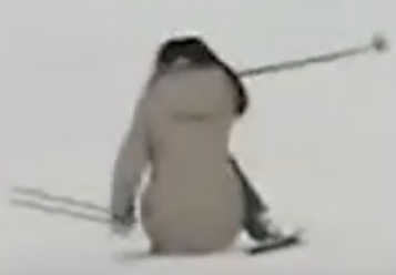 【看看爽】盘点滑雪时的那些搞笑瞬间