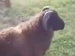 【看看爽】今天就要怼你!!谁的面子也不给!