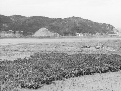 西门岛位于乐清湾,隶属于乐清市雁荡镇,岛上有南岙山,岙里,西门,山后