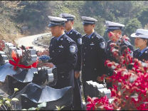 丁香花漫山遍野时 就想起不凡的林凡