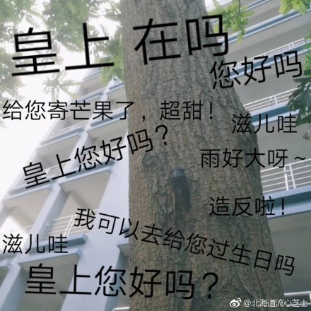 康熙微信 表情包