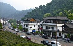 寻茶香,游江南——最佳品茶地推荐