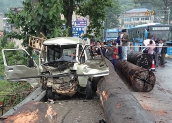 永嘉一半挂车滑落六根巨木 过路两司机被砸死