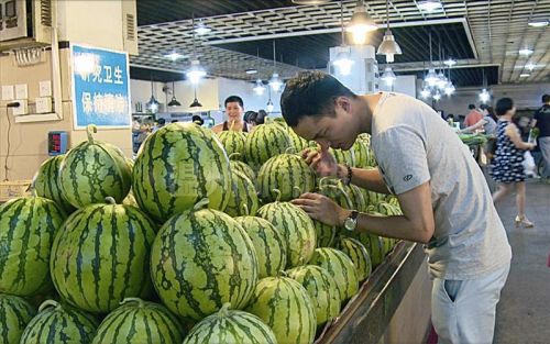 夏日挑选西瓜 果农教你三招