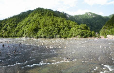 周边旅行