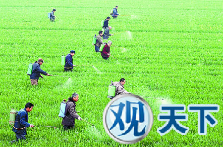 湖北一女子喝药自杀未果 愤而举报农药有假