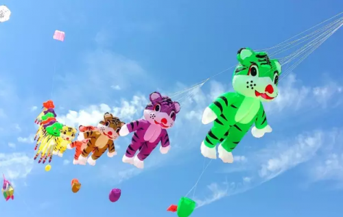 本周末江心屿将举行全国风筝表演赛