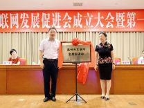 “1+11+11+N” 从这里解读温州网络社会组织建设