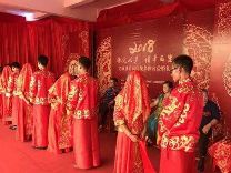 去年我市11万人喜结连理 苍南最多 洞头最少