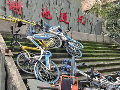文明行为促进条例实施一周,这些不文明现象盼严管