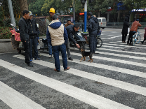《温州市文明行为促进条例》实施10日 这些行为使人脸红