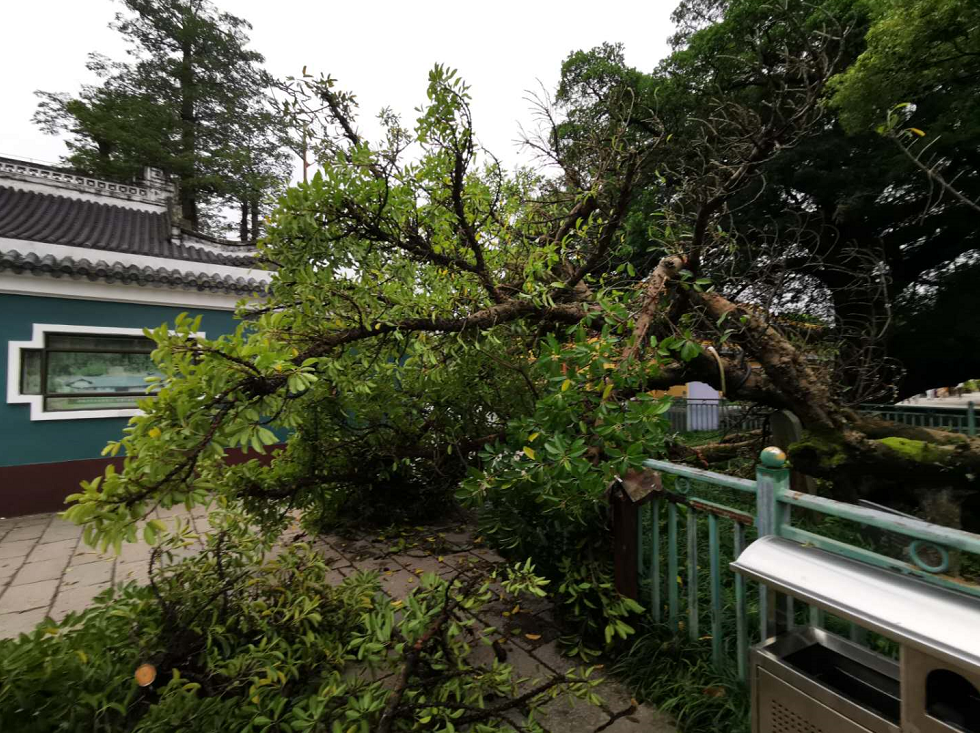 微信截图_20190630173946.png