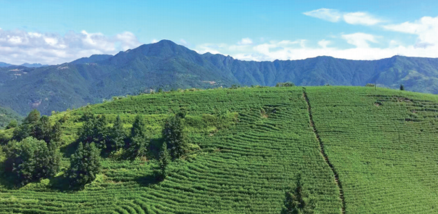 1625073589585.png 微信截图_20210701011630.png