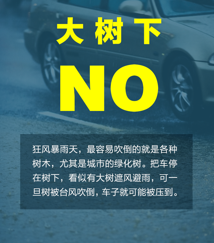 台风怎么停车_03.png