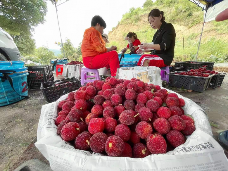 1656397599591.jpg 微信图片_20220628142819.jpg