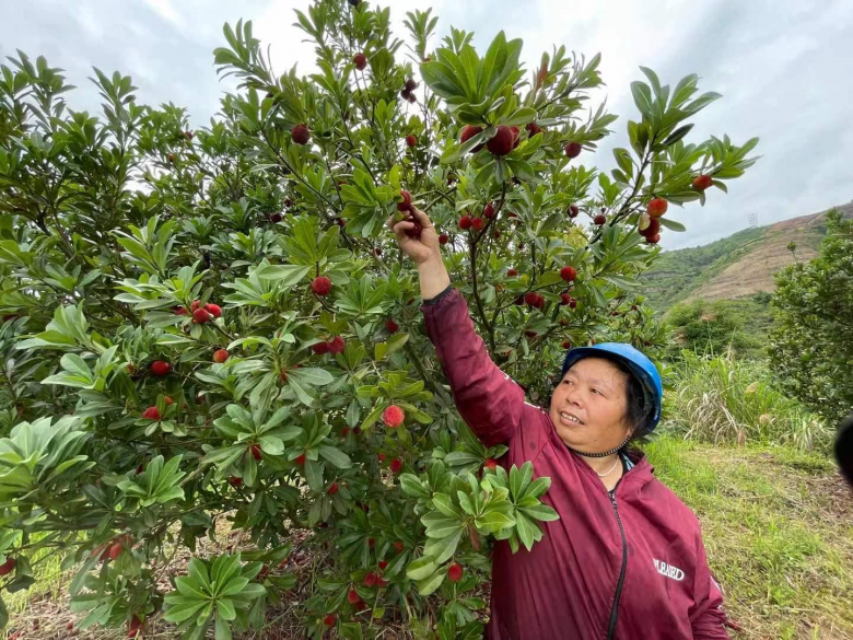 1656397609544.jpg 微信图片_20220628142824.jpg