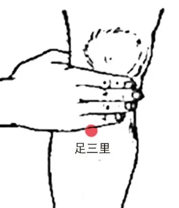足三里1.png