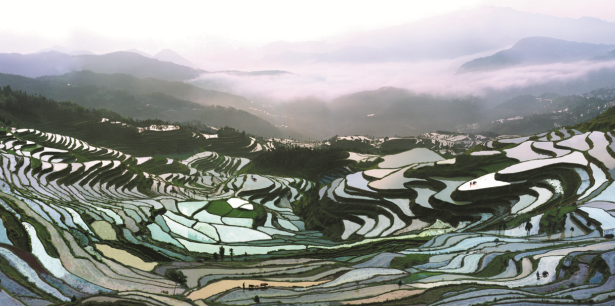 微信图片_20241120180049.png