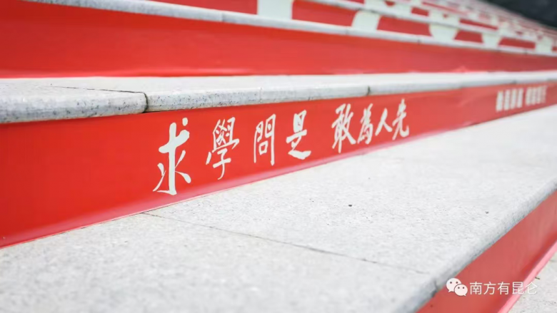 图片10.png