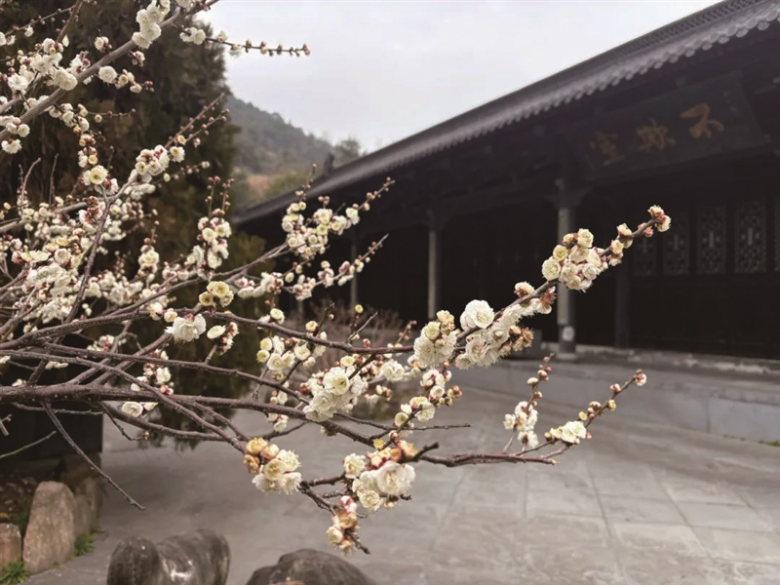 乐清淡溪.jpg