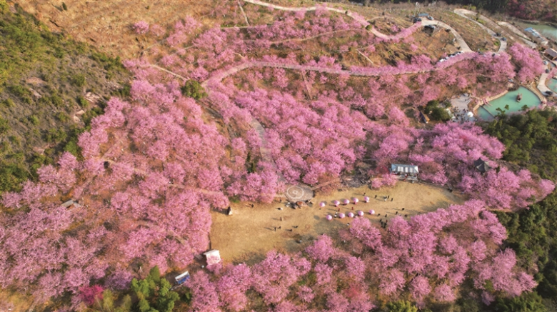 1740380196230.jpg 4adb525549c3647af0496c76a7ffdfa3_b.jpg