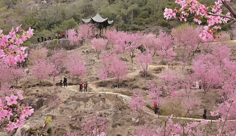 1741599675761.jpg 2898843_shaohr_1741333132153_b.jpg