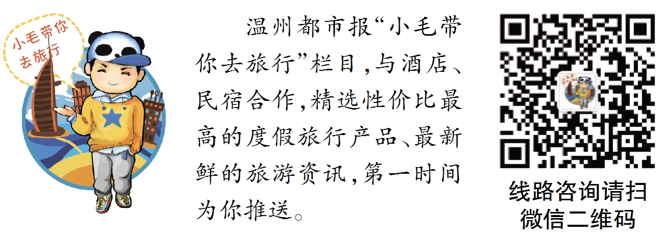 小毛去旅行.png