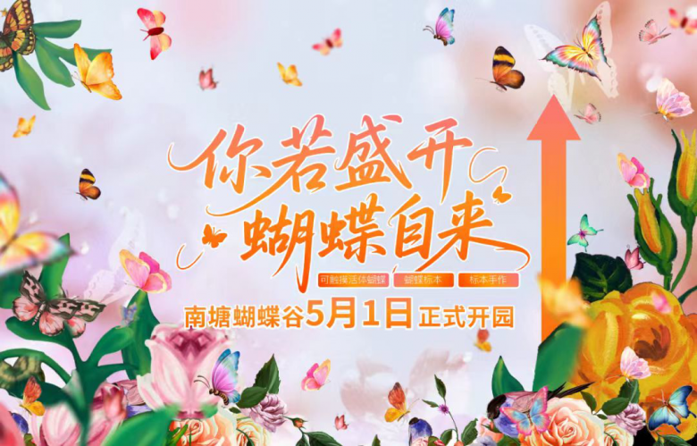 图片14.png