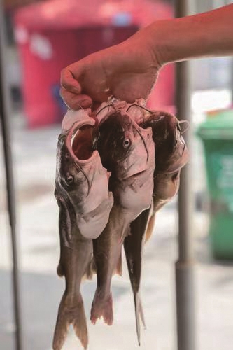 微信图片_20250516170955_b.jpg