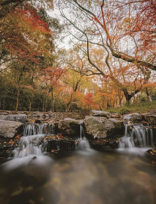 1750058801102.jpg e305f7a5ccf2a1ffb57444a29bdce060_b.jpg