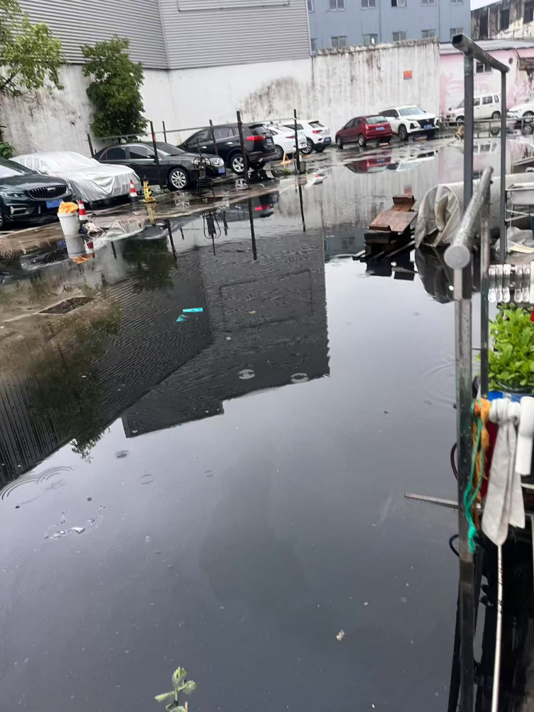 1750165293389.jpg downLoad-20250617210246.jpg