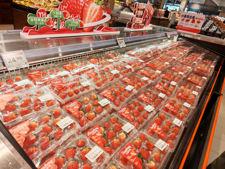 1766653148602.jpg 009b3aa00e788199ecdac044092048ff.jpg