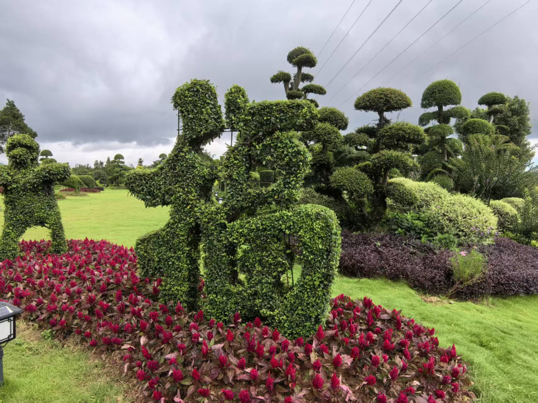 1767792020569.jpg downLoad-20260107211917.jpg