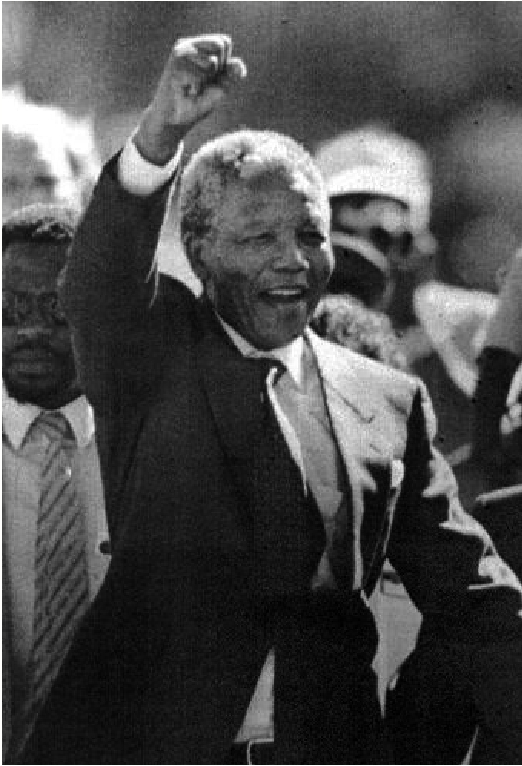 1770373392842.jpg B1.jpg