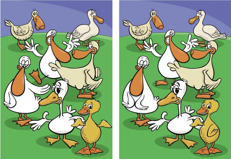 1770375038973.jpg F1.jpg