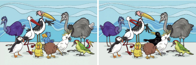 1772789803693.jpg b1.jpg