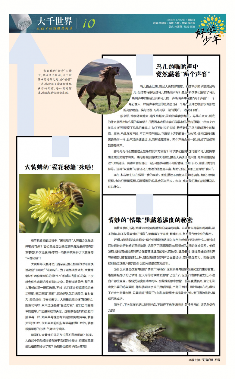 1775814047605.jpg 10B20260412C.jpg