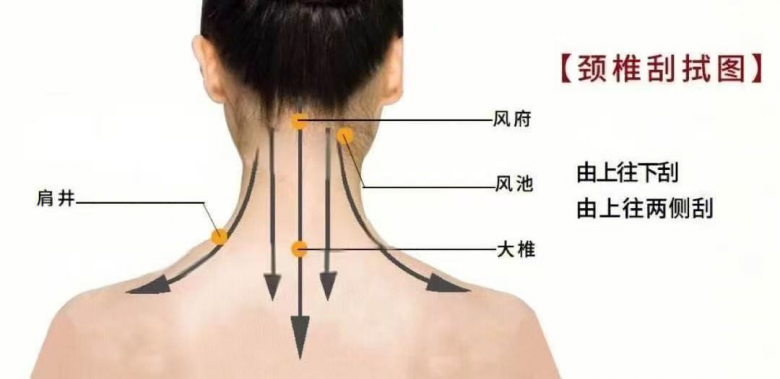 颈椎刮试图.jpg